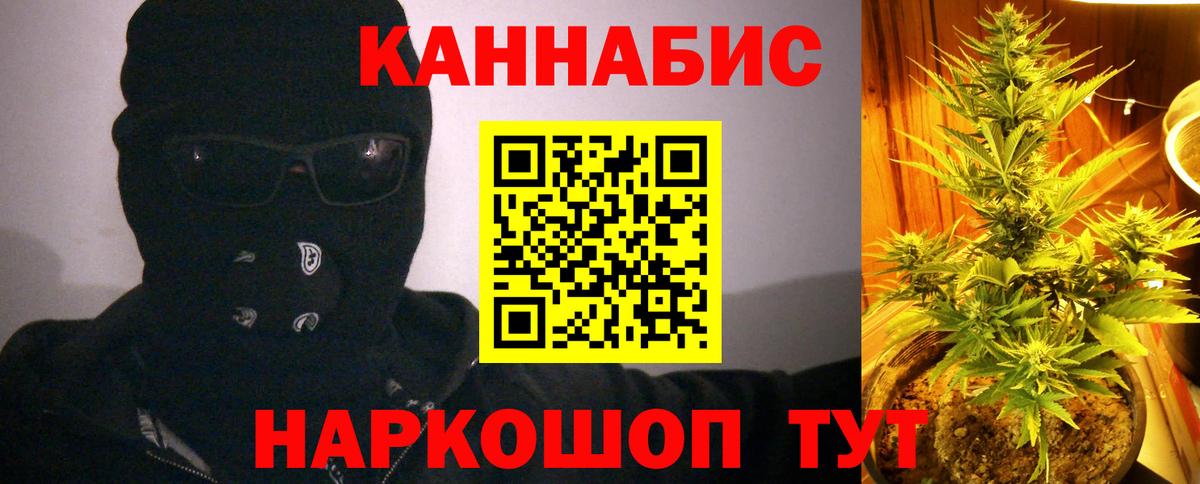 Новоалександровск  Каннабис OG Kush  Каннабис сатива  Бошки Шишки White Widow  Вход с VPN  Канабис сатива 
